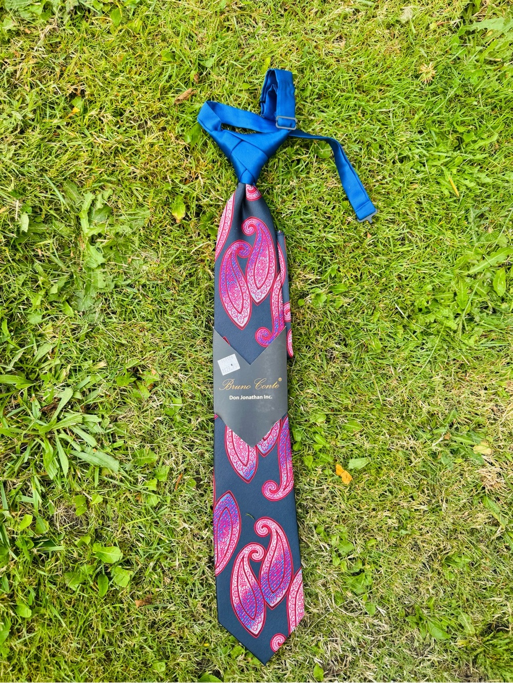 Blue and Red Paisley Tie